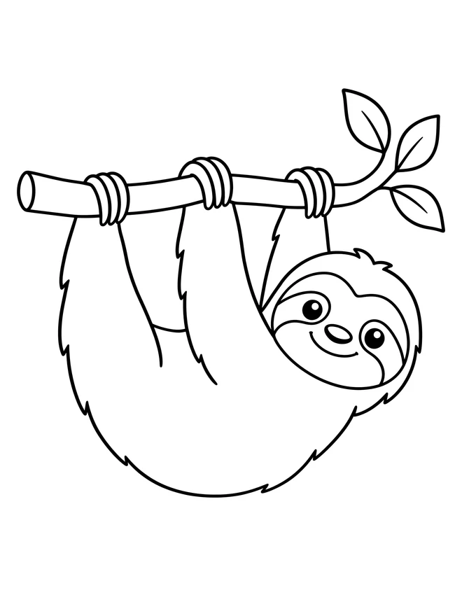 Sloth hanging from a branch — simple animal coloring page