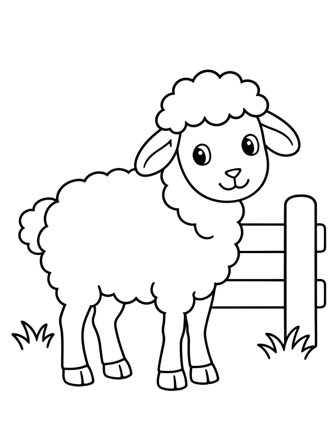 Sheep beside a fence — simple animal coloring page